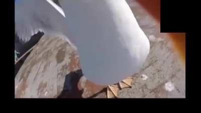 Este v&iacute;deo me encanta