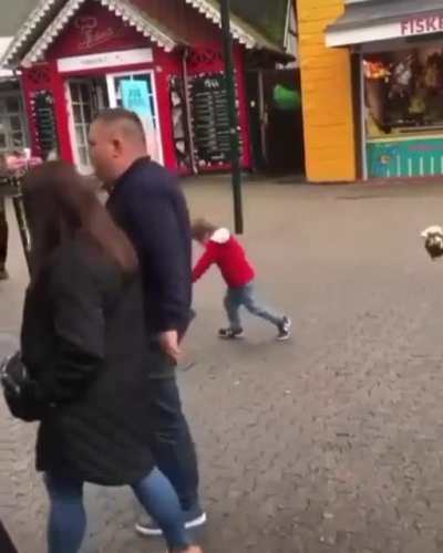 he had to