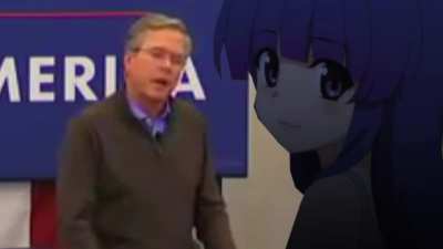 pachi pachi