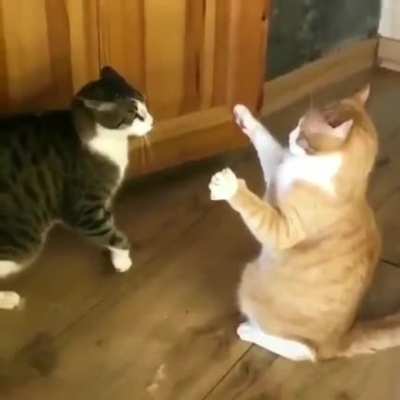 CaT bEaTs FrIeNd UnTiL iT cAn No LoNgEr StAnD