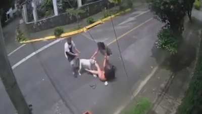 Man saves woman/pups from pit bull