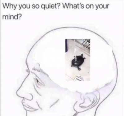 Title