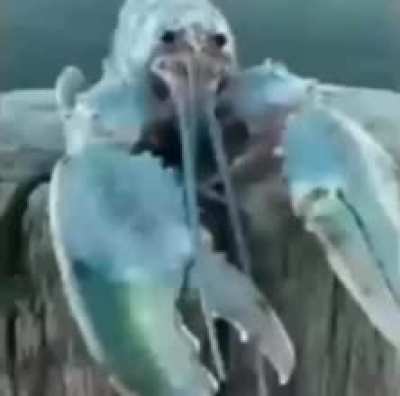 😰