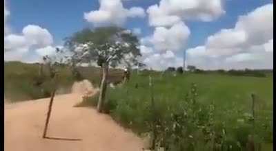 Atrasado pra escola
