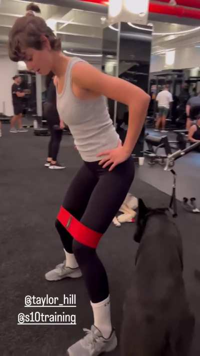 Gym time with dogs