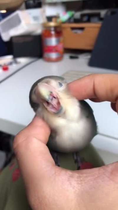 Aww Yiss...