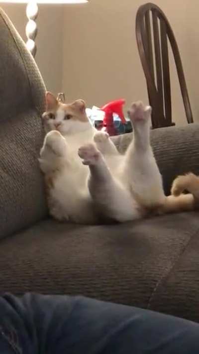 Double spready drumstick