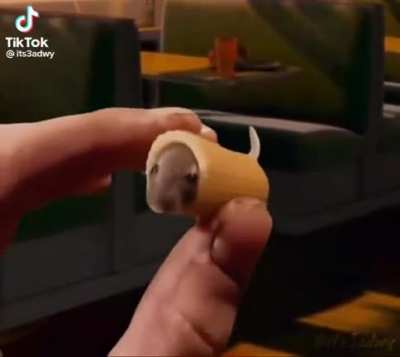 rip nood rat