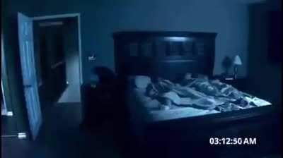 Cat Haunting