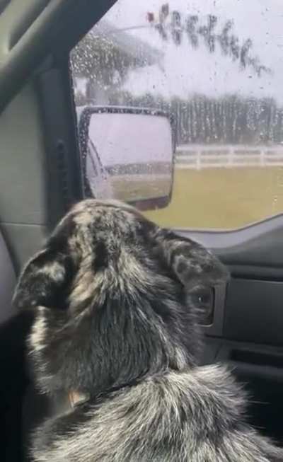Savevideobot