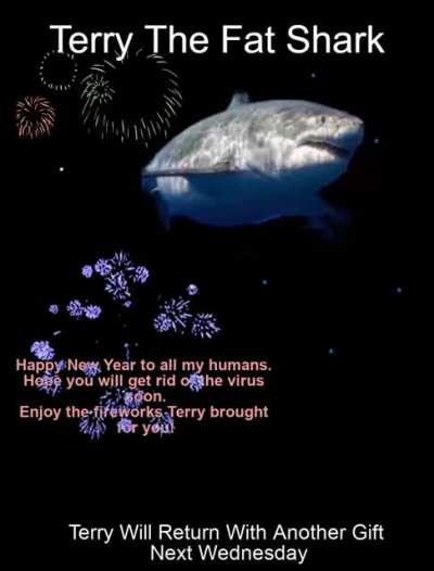 Terry&rsquo;s back and Happy New Year to everyone here!