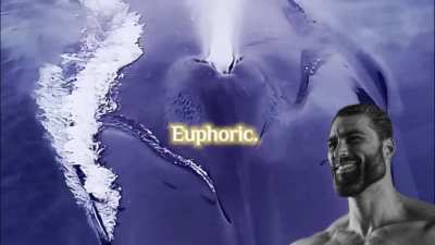 Earth Day Chad