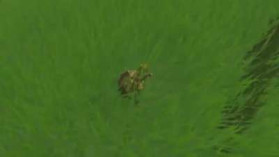 Link gets sent to hell