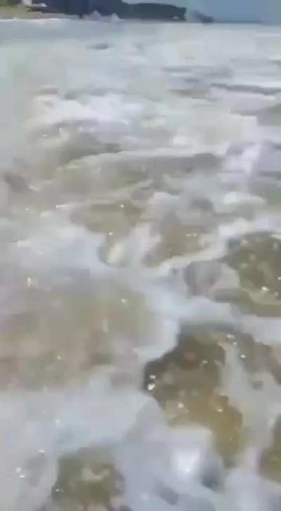 haha water go brr
