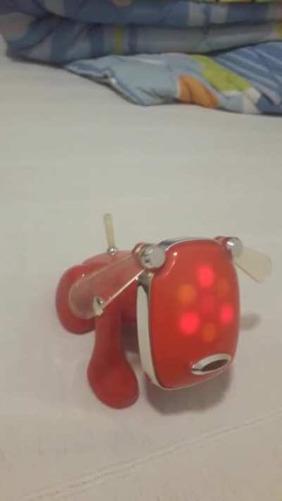 The new Regi, Regidog
