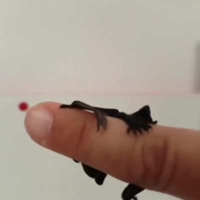 I am the night! Fear me!