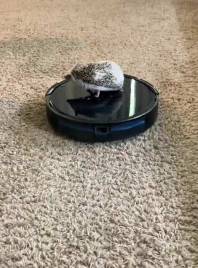 Don&rsquo;t worry Mom, I help!