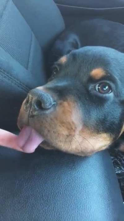 So cute!