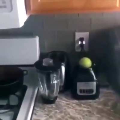 to blend a lemon
