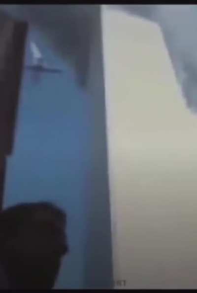 Moldy plane