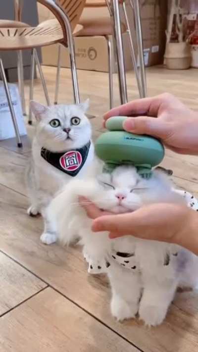 Jealous or Worried