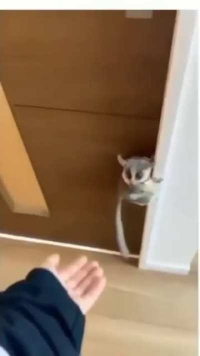 Cute
