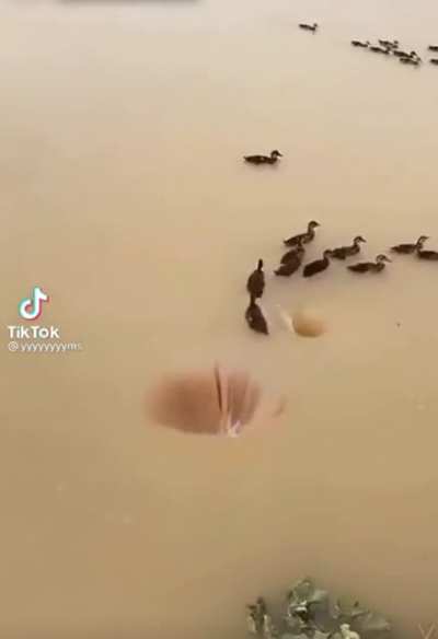 Natural mysteries