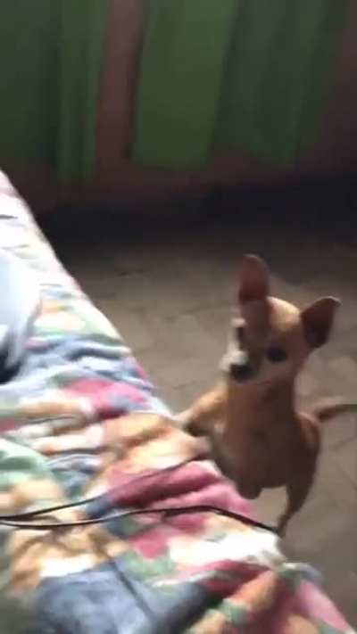 Gerador de Part&iacute;culas
