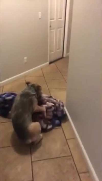 Bonk