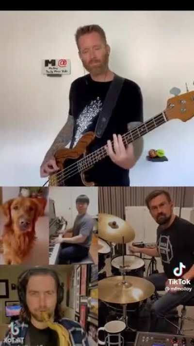 🗿