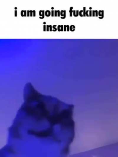 cbgvhbnfgchnftghfjFGJ:FGhrftyuT&amp;amp;7u5e%^34%EWR TY/r TJ:GHkyulk