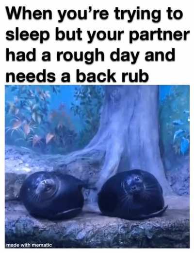 Sometimes they just need a back rub