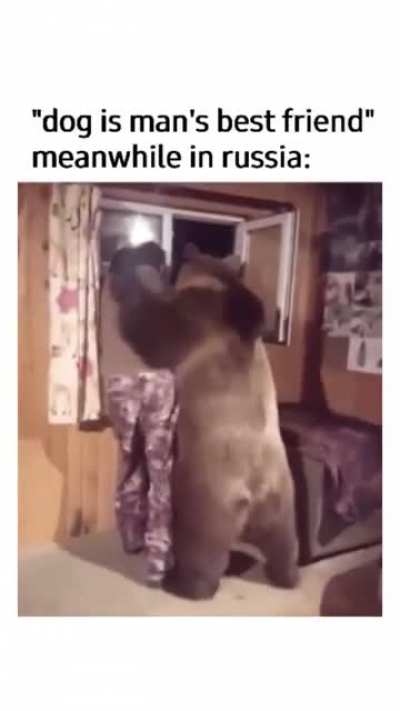 The Motherlands best friend