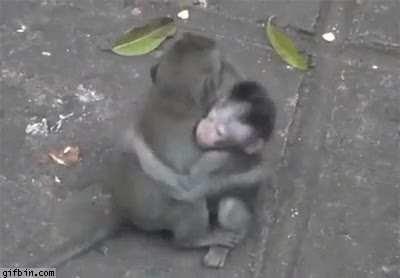 When sh*t gets tough, but at least you got a bro to help you get through this.
