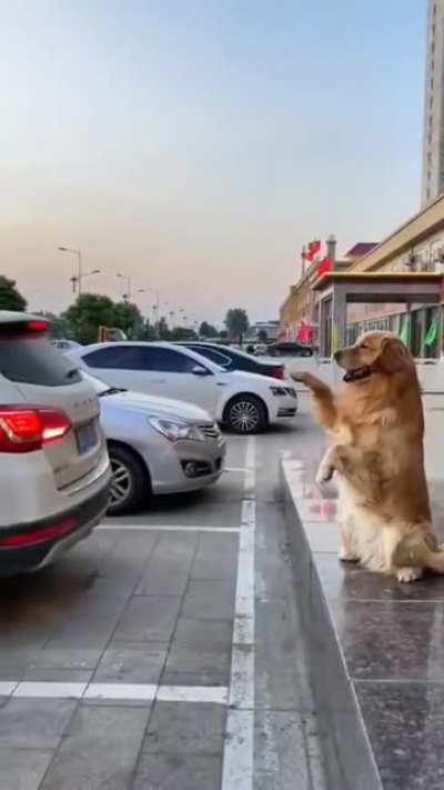 What a good boy