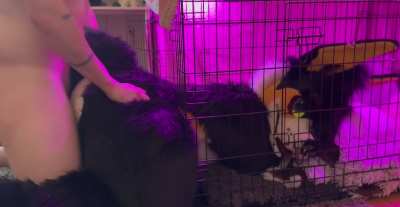 Getting freaky in the dog kennel 🐶
