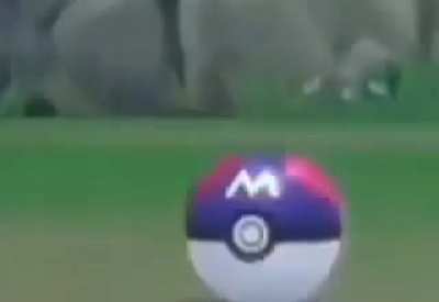 a video is just a series of images therefore this violates the new rule