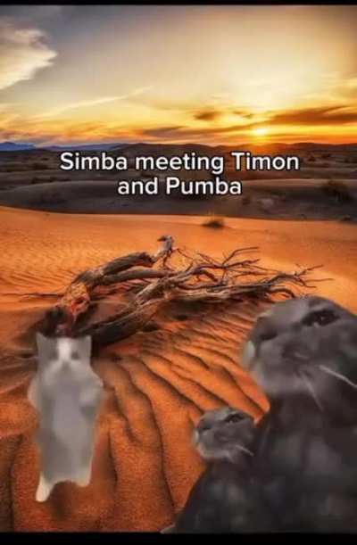 Lion king in a nutshell