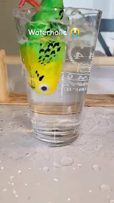 HydroBird