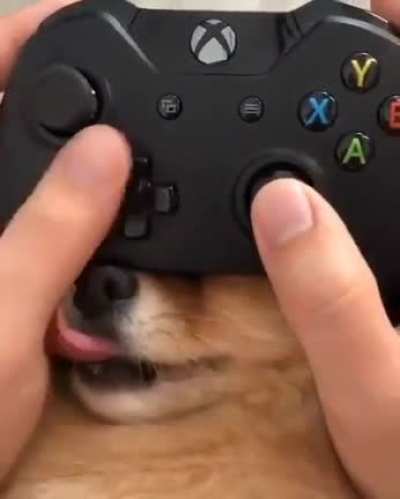 Novo bot&atilde;o no controle do Xbox