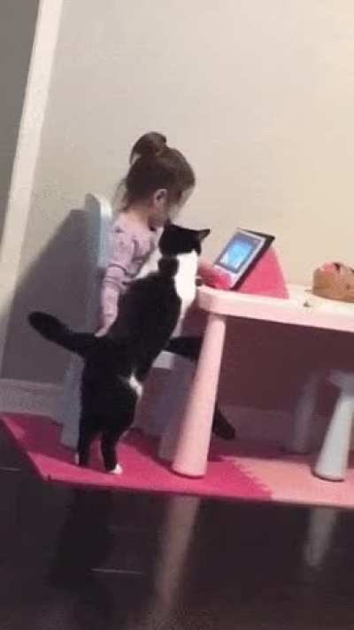 Can I watch cartoons with you?