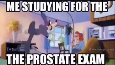 Aprobé!