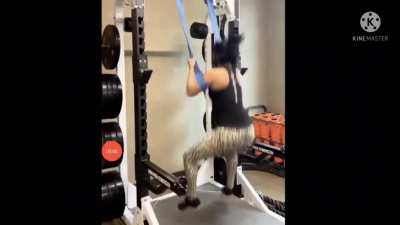 Bayley ass jiggle compilation