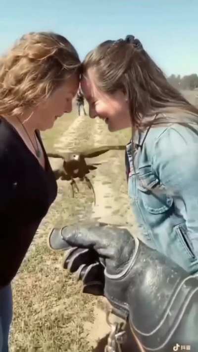 As if this was possible for an animal