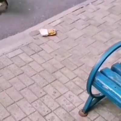 Poor Doggy