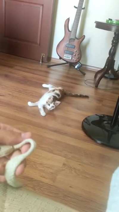 A perfectlycutscream of my girl