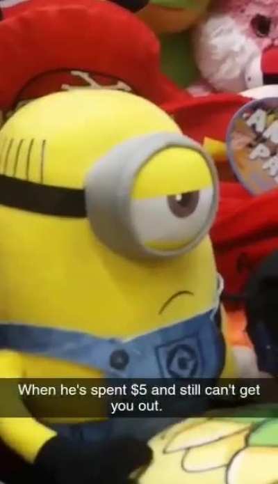 Even the Minion was disappointed that I spent $5 and couldn&rsquo;t win him
