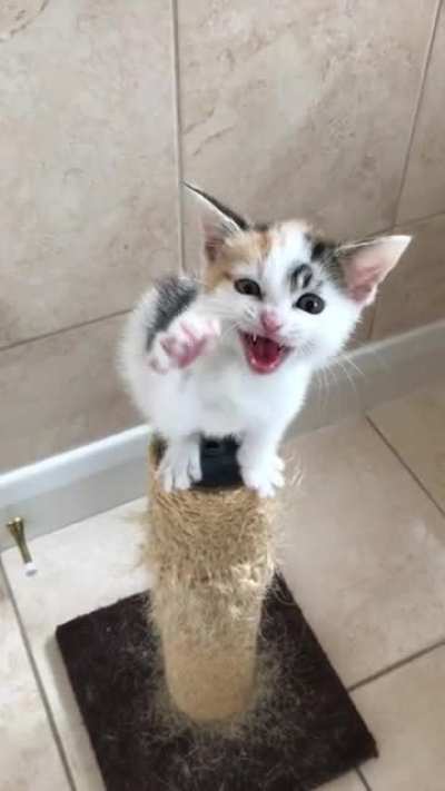 We call this her screeching post