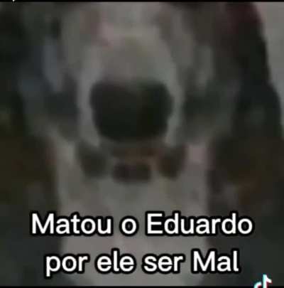 Maiores feitos de Doguinho Caramelo