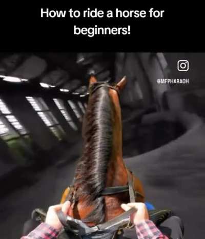 How to ride a horse for beginners